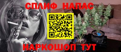 ГАЛЛЮЦИНОГЕННЫЕ ГРИБЫ Жуковский